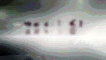 Nashville Dentist wishes you a Merry Christmas