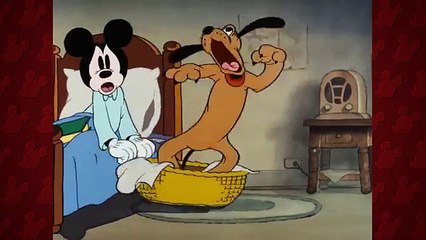 Mickey's Parrot  Have A Laugh