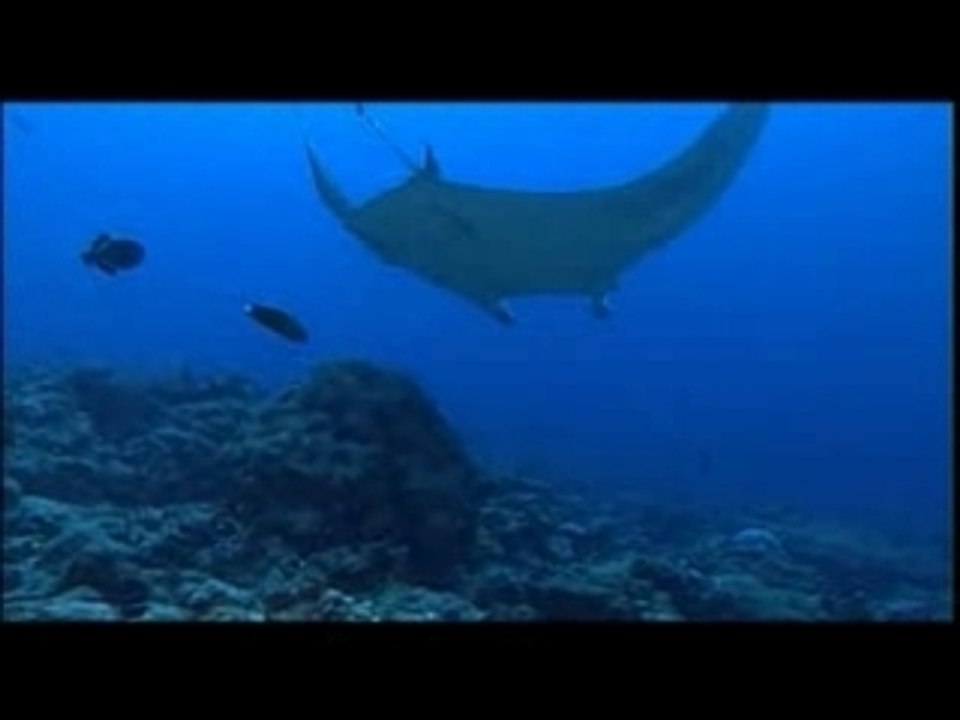 Trailer Princes des Oceans