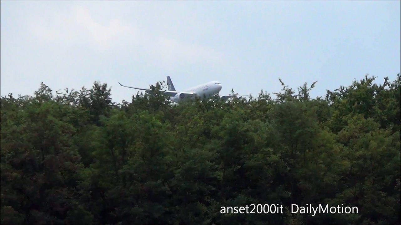 Airbus A330 Egyptair Landing in Milan Malpensa Airport. Plane Spotting