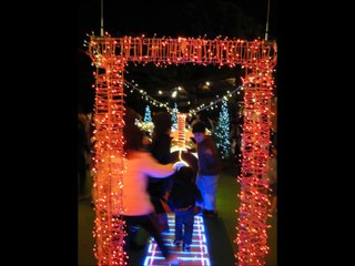 東京タワーのクリスマスイルミネーション