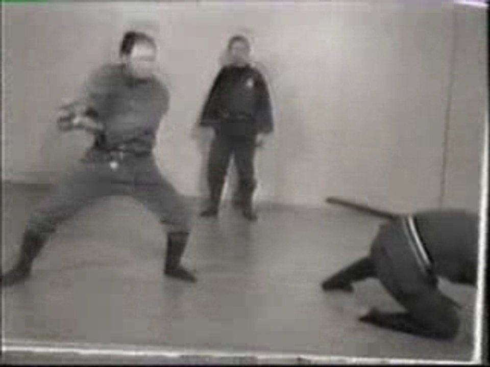 Ninjutsu training - part 5