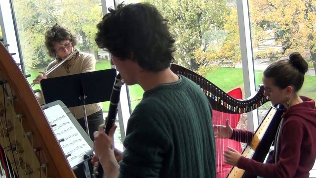 05 Trio flûte clarinette harpe 1