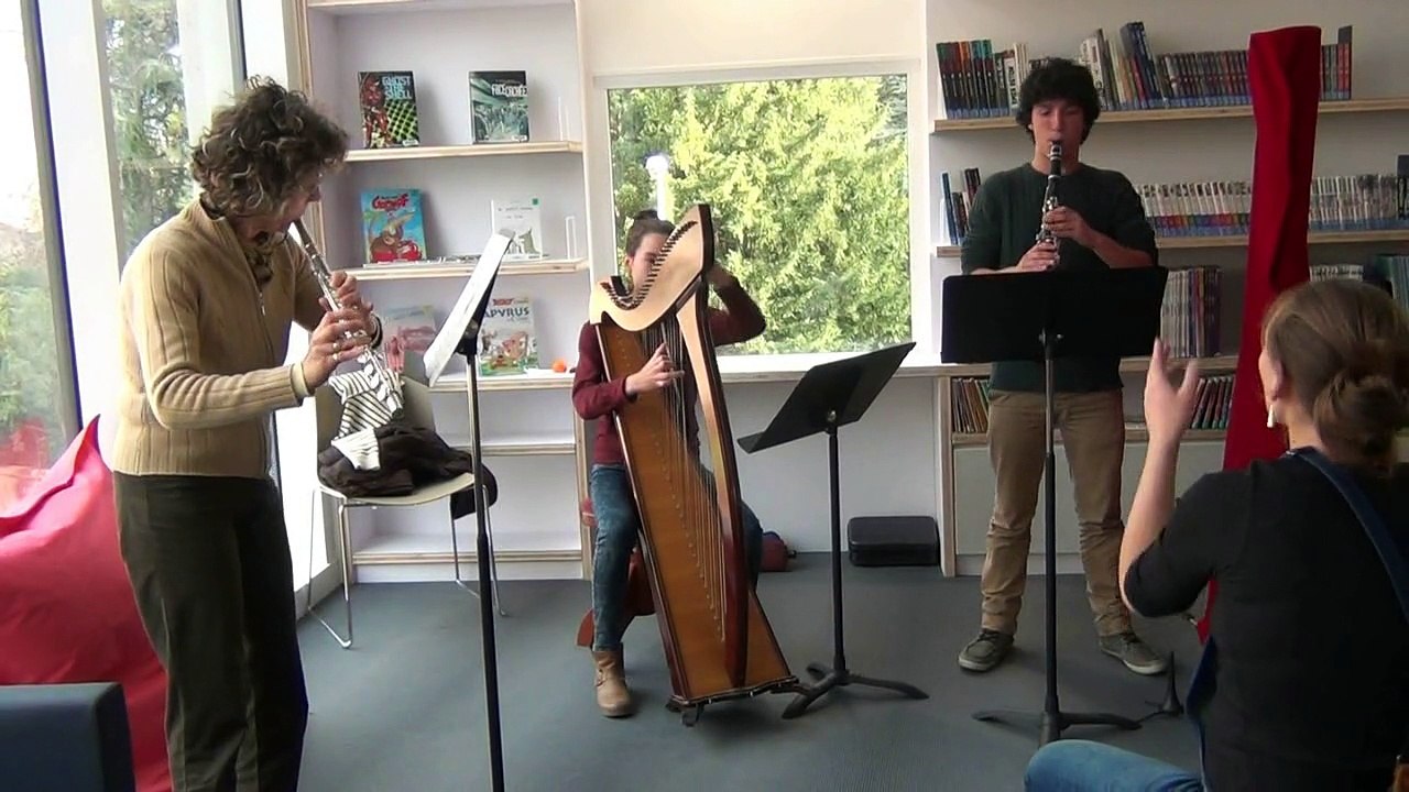 06 trio clarinette harpe Flûte 2