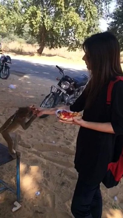 Hoor karo masti