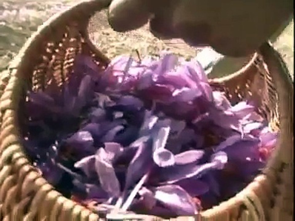 মস্লার দাম সোনার চেয়ে বেশি