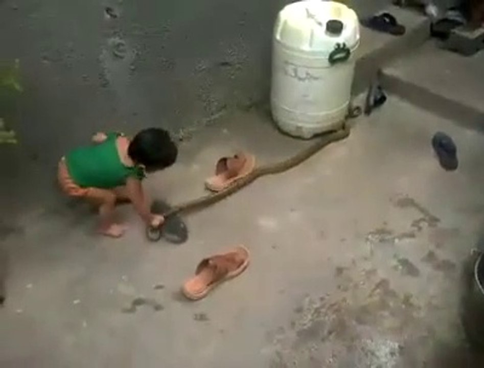جس نے یہ ویڈیو نہیں دیکھی اسنے کچھ بھی نہیں دیکھا۔