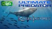 Ultimate Predator Killer Instincts ( Nat Geo WILD )