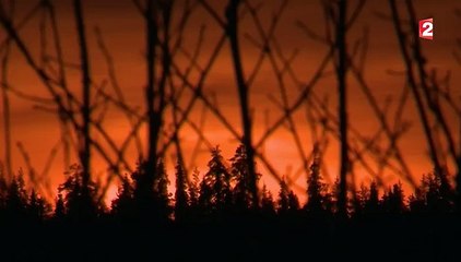 Feuilleton : Laponie, terre de rêves (3/5)