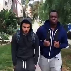 Не провоцируйте собаку