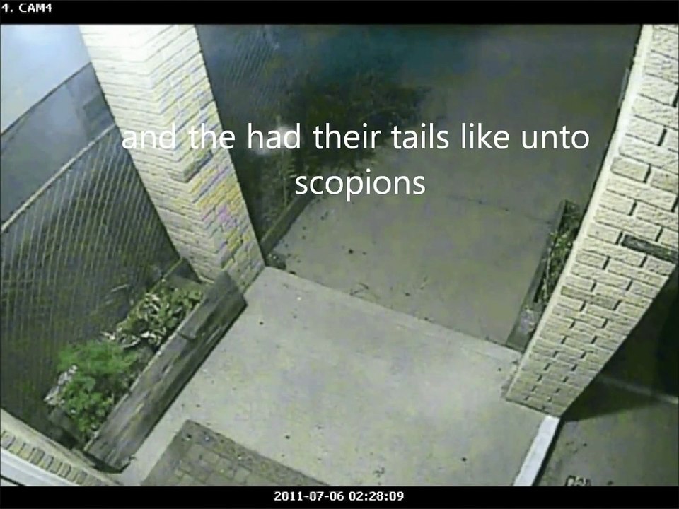 REAL UFO ALIENS CAUGHT ON CAMERAS, NOT  PICTS  OR WEIRD VIDEOS!