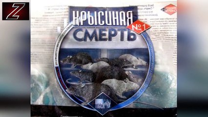 10 САМЫХ НЕЛЕПЫХ СМЕРТЕЙ