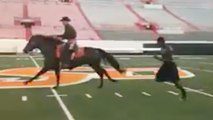 Video of Dez Bryant Racing a Horse at Oklahoma State Surfaces