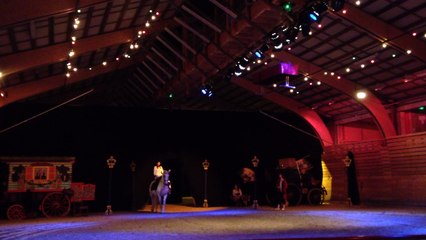 Spectacle de Noël Boriski