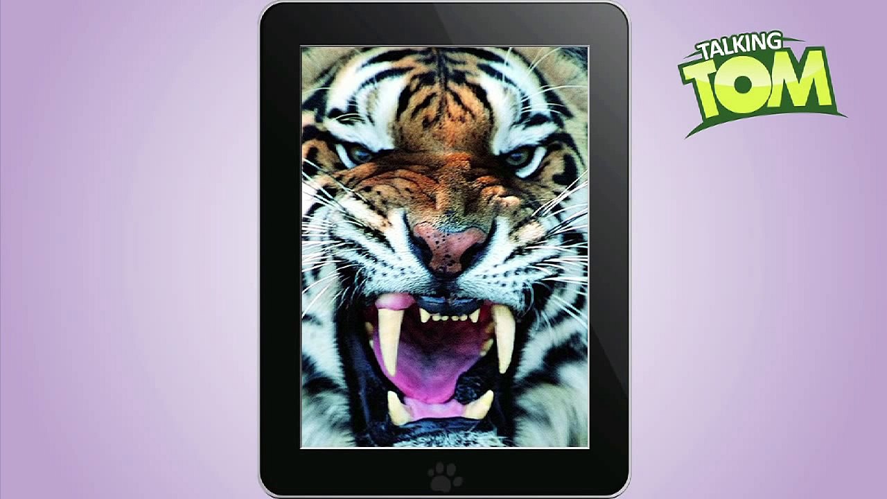 Talking Tom Roars