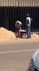 Isto sim é trabalho