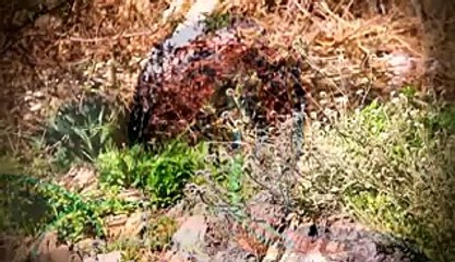 Tekin Karabey - Gelirken Biraz Erzurum Getir_001