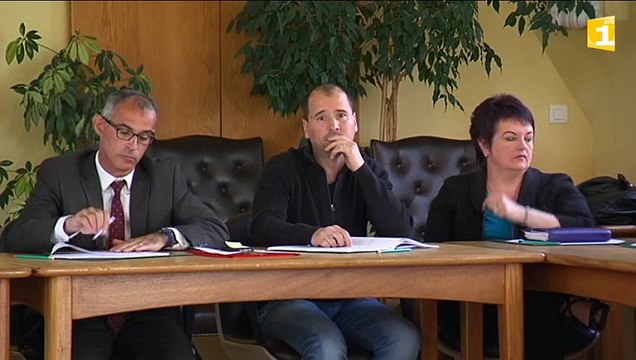 Rapport Olléon: constats et préconisations pour une collectivité unique