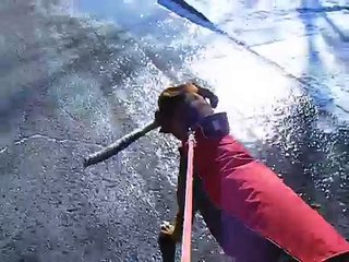 Dog in coat wants to take stick home