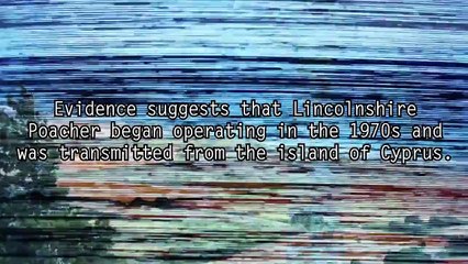 5 Creepiest Radio Broadcasts from Number Stations - Dark5