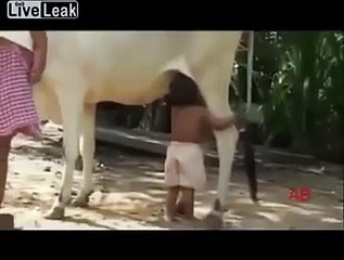 Çocuk Taze Sütün Kaynağını Bulmuş