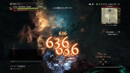 ドラゴンズドグマ オンライン　ウォーリアーメルゴダの大水網ソロ