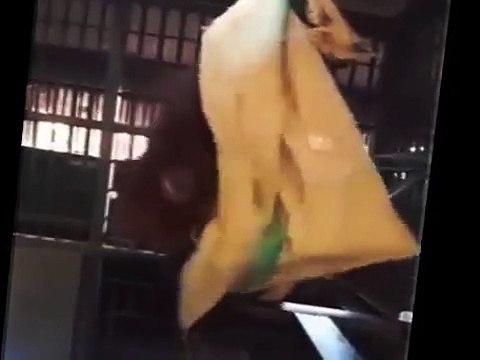 Increible fijate como este mono arregla su propia cama antes de dormir