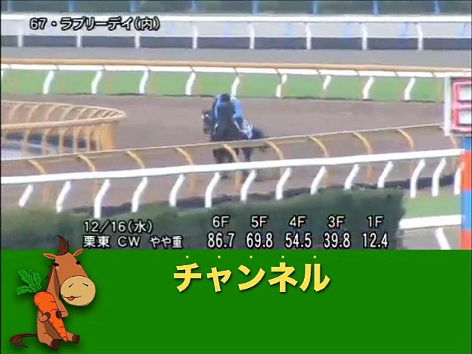 有馬記念（GI）（第60回グランプリ）　ラブリーデイ、Ｇ１レース３勝目で「年度代表馬」の座はもらった！  「競馬レース結果ハイライト」