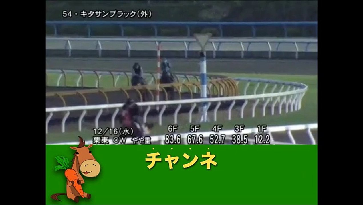 有馬記念（GI）（第60回グランプリ）　北島三郎「有馬記念」レセプションでキタサンブラックの“勝利宣言”  「競馬レース結果ハイライト」