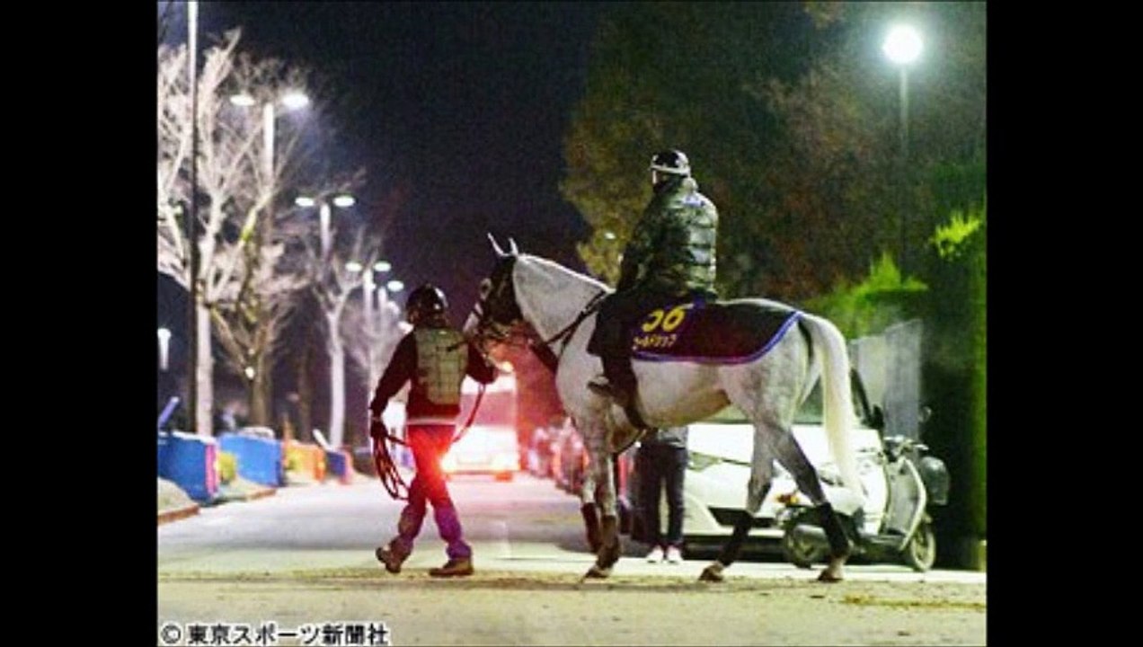 有馬記念（GI）（第60回グランプリ）ゴールドシップ　３年連続「当日引退馬Ｖ」なるか　  「競馬レース結果ハイライト」