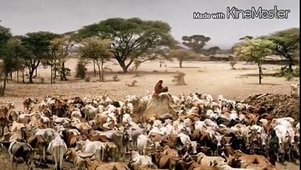 ቅዲ ዓንተር ጓሳ-ብዮሃንስ ከሰተ