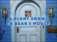 Bear in the Big Blue House: A Plant Grows in Bear's House