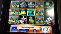 JUNGLE WILD Penny Video Slot Machine with BONUS Las Vegas Casino