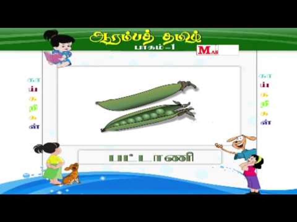 காய்கறிகள் (Vegetables)