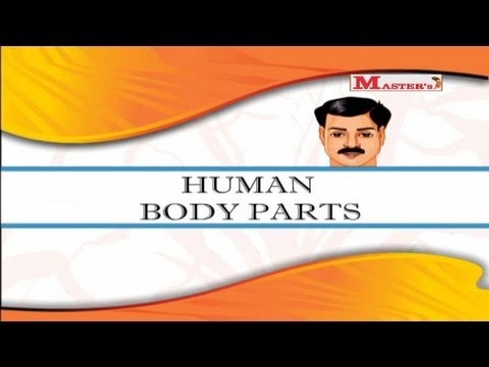 Human Body Parts - English Animation Video for Kids