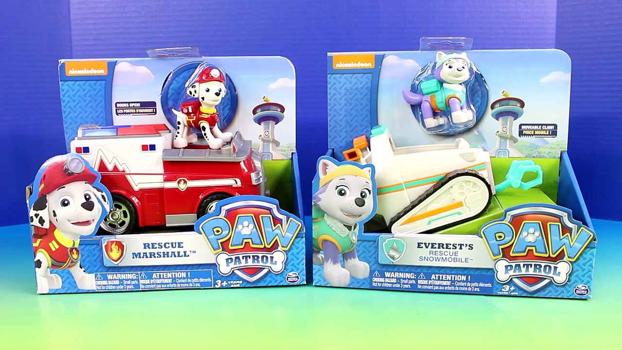 Paw Patrol Marshall & Everest & Imaginext Fire Rescue Disney Pixar Cars Lightning McQueen