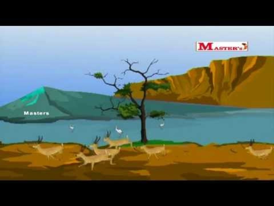 Thulli Odum Maan - Tamil Animation Video for Kids
