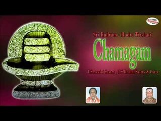 Sri Rudram - Rudra Trishati||Chamagam