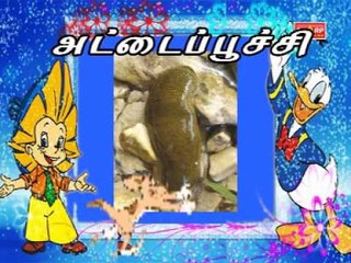 Insects in Tamil Kutti Chutties