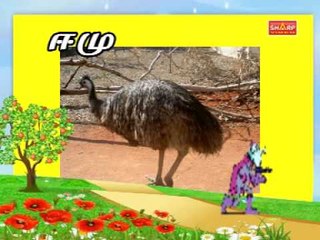 Bird Names in Tamil Kutti Chutties