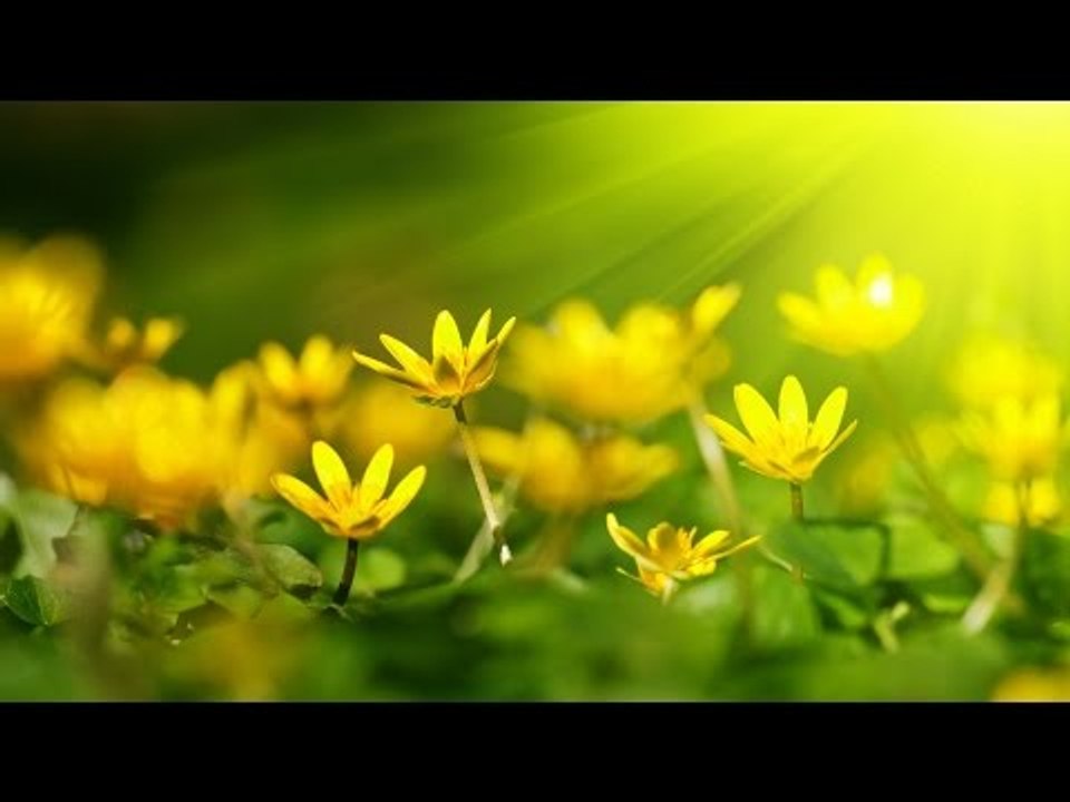 Kester Hit Malayalam Christian Devotional Song