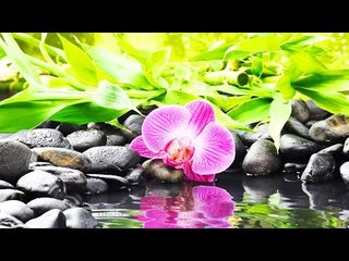 Kester Hit Malayalam Christian Devotional Song