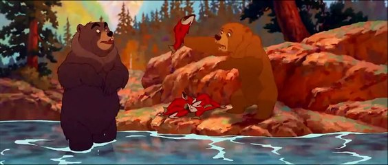 مَرحب أخي الدب vidéo vidéo