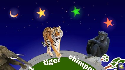 learn wild animals with names Full animated cartoon english 2015