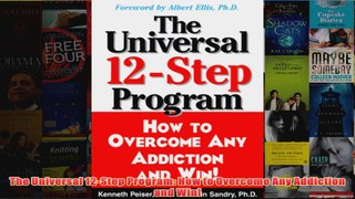 The Universal 12Step Program How to Overcome Any Addiction and Win