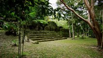 Tikal - Ancient Mayan City of Guatemala - 4K