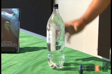 Lesson 4 ׃ Conservation of water  Baby Giraffe Baridi's First Time Outside