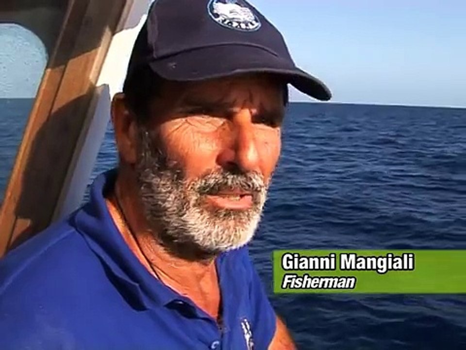 Bluefin's Final Chapter