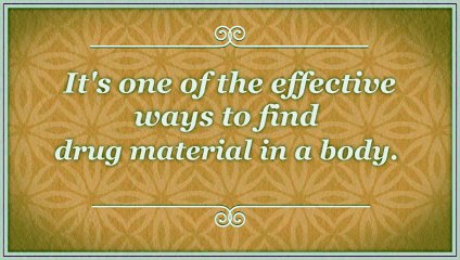 How To Pass Urine Drug Test