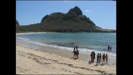 Turista perde braço após ataque de tubarão em Fernando de Noronha